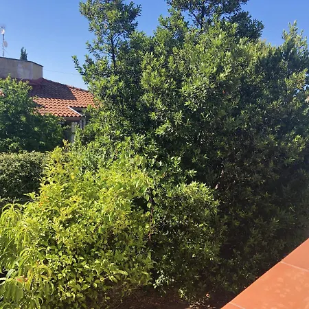 Appartement Charming Sea View